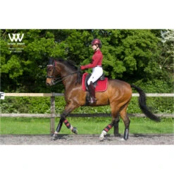 Woof Wear Dressage Saddle Cloth - Shiraz Colour Shiraz -Weatherbeeta Shop 1789 Shiraz201.700x700
