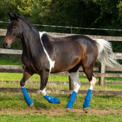 2022 Equilibrium Equi-Chaps Close Contact Chaps EQB1200 - Navy / Yellow -Weatherbeeta Shop 1847 202220Equilibrium20Equi Chaps20Close20Contact20Chaps20EQB120020 20Navy20Yellow20Lifestyle202.700x700