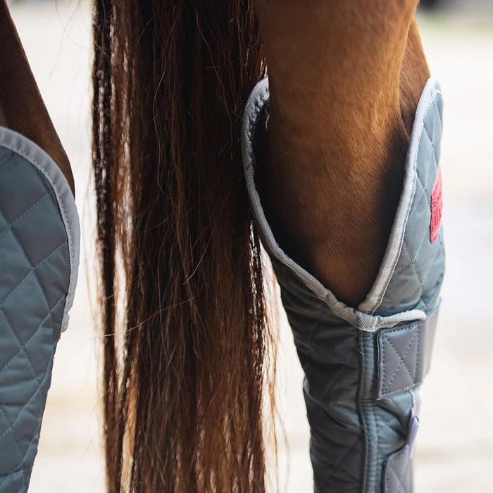 2022 Equilibrium Hind & Hock Magnetic Chaps EQB1186 - Grey 5 2022 Equilibrium Hind & Hock Magnetic Chaps EQB1186 - Grey - Image 5