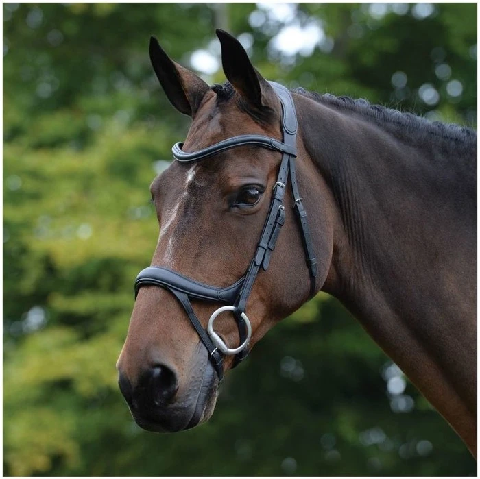 2021 Collegiate Comfitec Vogue Anatomical Bridle 100637600 - Black Colour Black 1 2021 Collegiate Comfitec Vogue Anatomical Bridle 100637600 - Black Colour Black