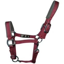 2022 Woof Wear Contour Head Collar WS0022 - Shiraz Colour Shiraz