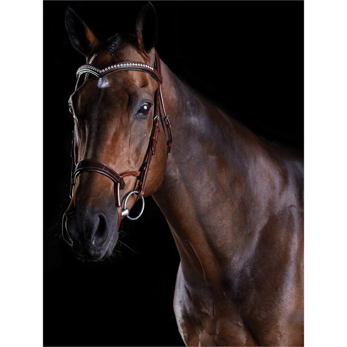 2022 Collegiate Comfitec Patent Bridle 8111 - Brown Colour Brown 1 2022 Collegiate Comfitec Patent Bridle 8111 - Brown Colour Brown