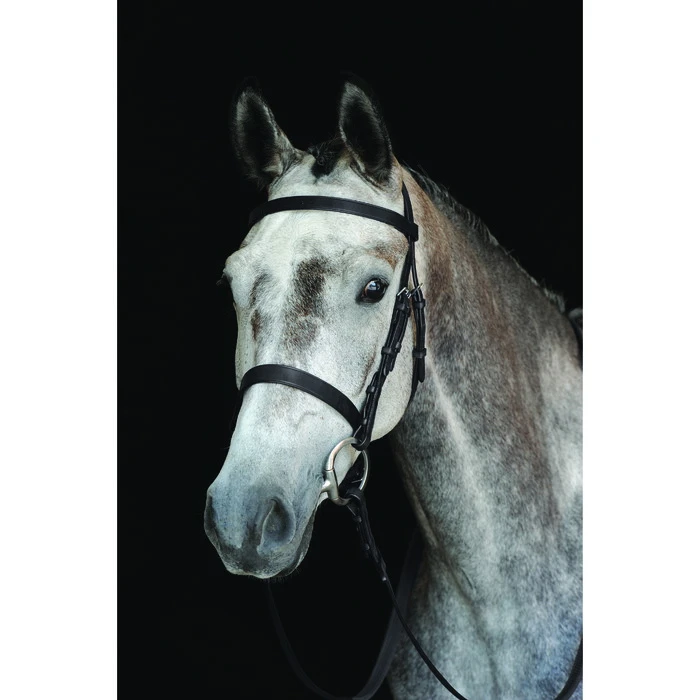 2022 Collegiate Hunt Cavesson Bridle IV 800800 - Black Colour Black 1 2022 Collegiate Hunt Cavesson Bridle IV 800800 - Black Colour Black