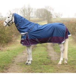 2023 Hy Equestrian DefenceX System 0g Turnout Rug With Detachable Neck Cover 2814 - Navy / Purple