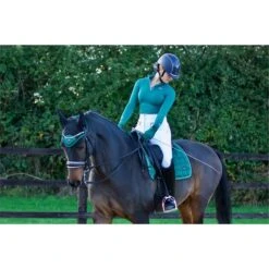 2022 Woof Wear Vision Fly Veil WS0012 - British Racing Green Colour British Racing Green -Weatherbeeta Shop 2857 Vision20British20Racing20Green205.700x700