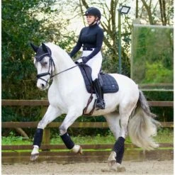 2022 Woof Wear Vision Fly Veil WS0012 - Black Colour Black -Weatherbeeta Shop 2863 Vision20Black2017.700x700