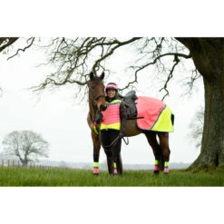 2022 Equisafety Charlotte Dujardin Hi Vis Multi Coloured Horse Sheet CD-MCQWS - Pink / Yellow 7 2022 Equisafety Charlotte Dujardin Hi Vis Multi Coloured Horse Sheet CD-MCQWS - Pink / Yellow -Weatherbeeta Shop 3127 Equisafety Jan22 144201201.700x700