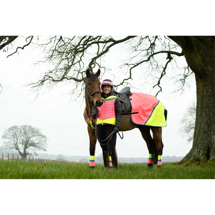 2022 Equisafety Charlotte Dujardin Hi Vis Multi Coloured Horse Sheet CD-MCQWS - Pink / Yellow 4 2022 Equisafety Charlotte Dujardin Hi Vis Multi Coloured Horse Sheet CD-MCQWS - Pink / Yellow - Image 4