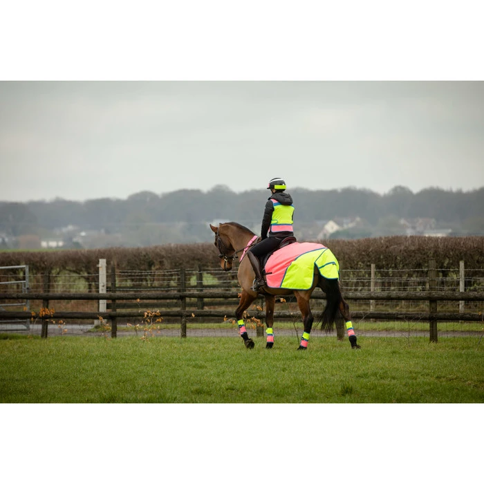 2022 Equisafety Charlotte Dujardin Hi Vis Multi Coloured Horse Sheet CD-MCQWS - Pink / Yellow 2 2022 Equisafety Charlotte Dujardin Hi Vis Multi Coloured Horse Sheet CD-MCQWS - Pink / Yellow - Image 2