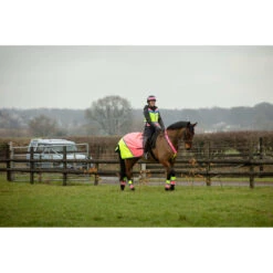 2022 Equisafety Charlotte Dujardin Hi Vis Multi Coloured Horse Sheet CD-MCQWS - Pink / Yellow 6 2022 Equisafety Charlotte Dujardin Hi Vis Multi Coloured Horse Sheet CD-MCQWS - Pink / Yellow -Weatherbeeta Shop 3127 Equisafety Jan22 152201.700x700