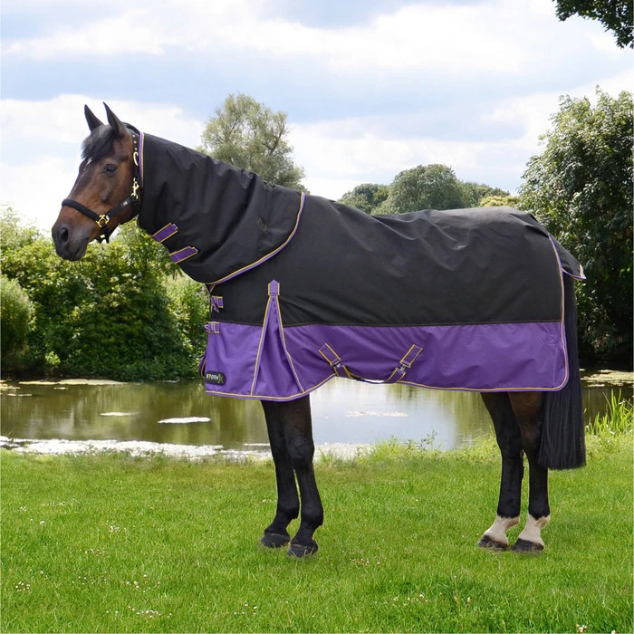 Hy Equestrian Stormx Original 200g Detach-A-Neck Turnout Rug - Black / Purple 1 Hy Equestrian Stormx Original 200g Detach-A-Neck Turnout Rug - Black / Purple