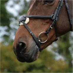 2022 Collegiate Comfitec Grackle Bridle 100637700 - Black Colour Black -Weatherbeeta Shop 3431 202120Collegiate20Comfitec20Grackle20Bridle2010063770020 20Black20detail.700x700