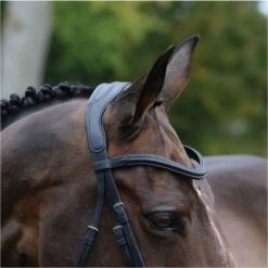 2021 Collegiate Comfitec Vogue Anatomical Bridle 100637600 - Black Colour Black 5 2021 Collegiate Comfitec Vogue Anatomical Bridle 100637600 - Black Colour Black -Weatherbeeta Shop 3436 202120Collegiate20Comfitec20Vogue20Anatomical20Bridle2010063760020 20Black20detail.700x700