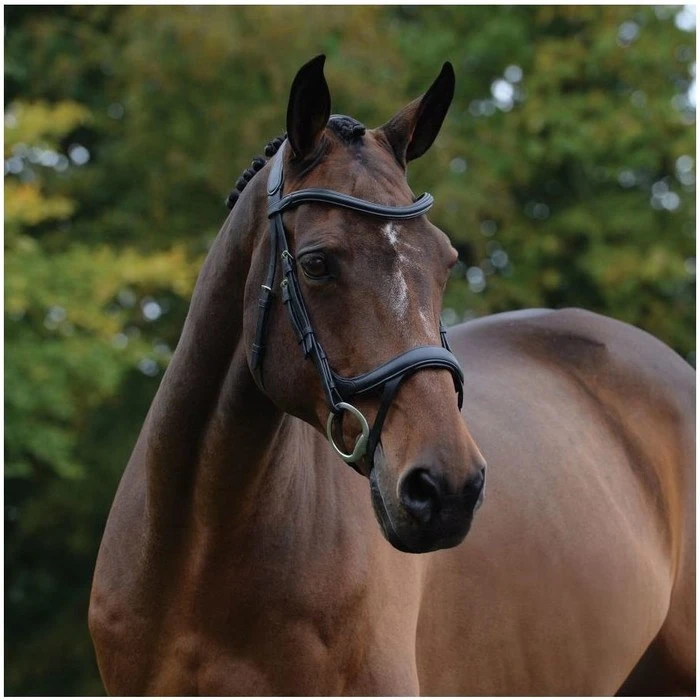 2021 Collegiate Comfitec Vogue Anatomical Bridle 100637600 - Black Colour Black 2 2021 Collegiate Comfitec Vogue Anatomical Bridle 100637600 - Black Colour Black - Image 2