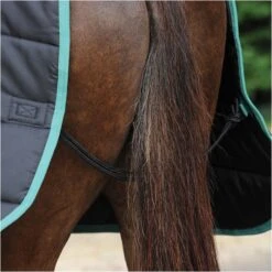 2022 Weatherbeeta Green-Tec Medium-Lite Standard Neck Rug - Black / Green -Weatherbeeta Shop 3971 3971 7.700x700