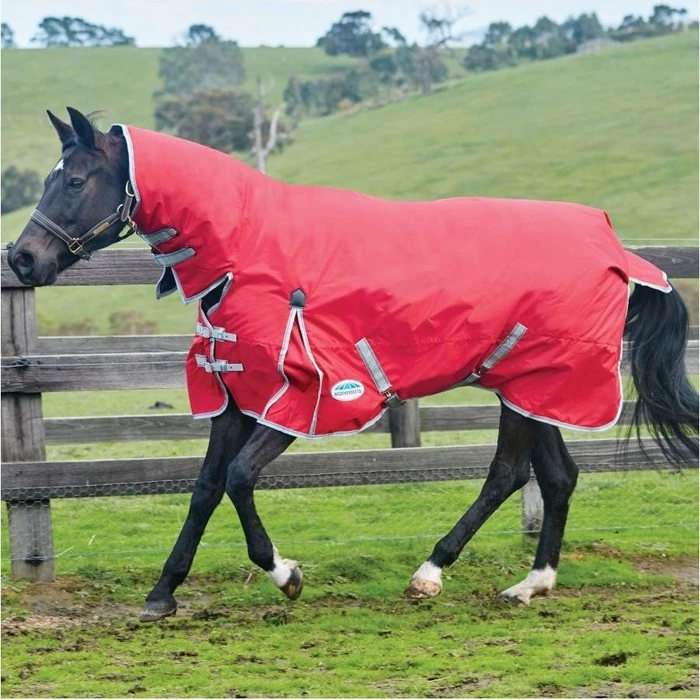 2022 Weatherbeeta Comfitec Classic Medium-Lite Combo Neck Turnout Rug - Red / Silver 1 2022 Weatherbeeta Comfitec Classic Medium-Lite Combo Neck Turnout Rug - Red / Silver