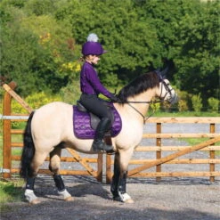 2022 Woof Wear Vision GP Saddle Pad WS0009 - Damsen Purple Colour Damsen Purple -Weatherbeeta Shop 4638 Damson20Vision20320 20low20res.700x700