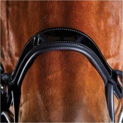 2022 Collegiate Comfitec Patent Bridle 8111 - Black Colour Black -Weatherbeeta Shop 5218 202220Collegiate20Comfitec20Patent20Bridle20811120 20Black3.700x700