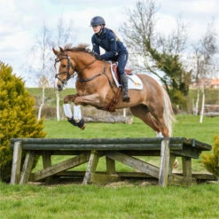 2022 Equilibrium Tri-Zone Impact Sports Boots Hind EQB11 - White 11 2022 Equilibrium Tri-Zone Impact Sports Boots Hind EQB11 - White -Weatherbeeta Shop 5587 202220Equilibrium20Tri Zone20Impact20Sports20Boots20EQB1020 20White20Main20Lifestyle203.700x700