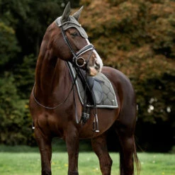 2022 PS Of Sweden Signature Dressage Cotton Saddle Pad 1110-022 - Forest Green 7 2022 PS Of Sweden Signature Dressage Cotton Saddle Pad 1110-022 - Forest Green -Weatherbeeta Shop 5637 202220PS20Of20Sweden20Signature20Dressage20Cotton20Saddle20Pad201110 02220 2020Forest20Green20Lifestyle203.700x700