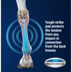 2023 Weatherbeeta Eventing Front Boots 8076 - Black -Weatherbeeta Shop 6030 WB20Cross20Country20FR20Boots Graphic.700x700