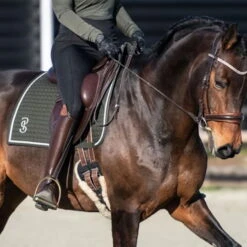 2023 PS Of Sweden Elite Dressage Saddle Pad 1110038665 - Dark Green -Weatherbeeta Shop 6074 202320PS20of20Sweden20Elite20Dressage20Saddle20Pad20111003866520 20Dark20Green20Lifestyle.700x700