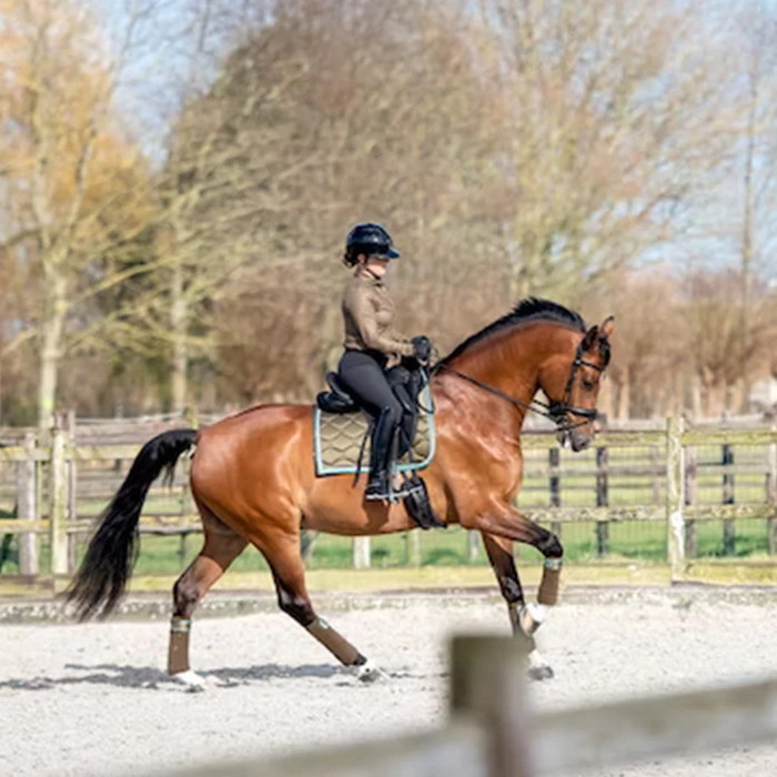 2023 PS Of Sweden Signature Dressage Saddle Pad 1110-040 - Olive Colour Olive 3 2023 PS Of Sweden Signature Dressage Saddle Pad 1110-040 - Olive Colour Olive - Image 3