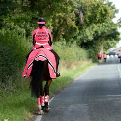 2023 Equisafety Hi-Vis Waterproof Wrap Around Exercise Rug WRUG - Pink -Weatherbeeta Shop 6120 202320Equisafety20Hi Vis20Waterproof20Wrap20Around20Exercise20Rug20WRUG20 20Pink 20Lifestyle.700x700