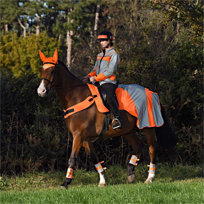 2023 Equisafety Mercury Reflective Exercise Rug MRUG-RO - Orange Colour Orange 3 2023 Equisafety Mercury Reflective Exercise Rug MRUG-RO - Orange Colour Orange - Image 3