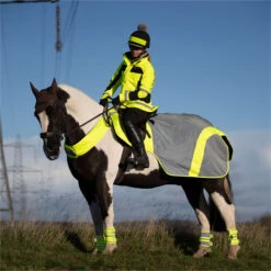 2023 Equisafety Mercury Reflective Exercise Rug MRUG-RO - Yellow Colour Yellow -Weatherbeeta Shop 6122 202320Equisafety20Mercury20Reflective20Exercise20Rug20MRUG RO20 20Yellow 20Lifestyle202.700x700