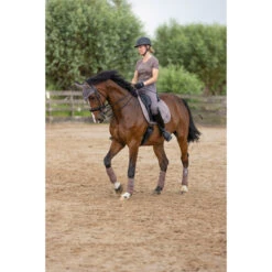 2023 HV Polo Jenna Dressage Saddle Pad 802093502 - Espresso Colour Espresso -Weatherbeeta Shop 6152 203A6760.700x700