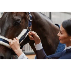 2023 Eskadron Double Pin Matt Gloss Evo-Wool Headcollar 420831 838 - Navy -Weatherbeeta Shop 6288 esk 0123 kam 420831 838 380 add1.700x700