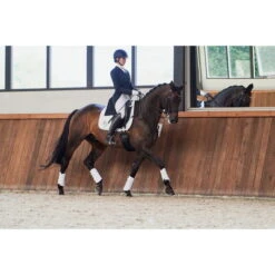 2023 Eskadron Softshell Tendon Boots 555031 862 - White Colour White -Weatherbeeta Shop 6290 esk 0123 kam 555031 862 010 214731 544 010.700x700