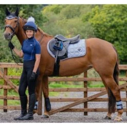 2023 Woof Wear Club Brushing Boots WB0003 - Black / Porcelain Blue Colour Black/Porcelain Blue -Weatherbeeta Shop 6306 Porcelain202.700x700