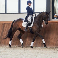 2023 Eskadron Highgloss Peacock Saddle Cloth & Round Bridle Number Holder Bundle PSNH23 - White 14 2023 Eskadron Highgloss Peacock Saddle Cloth & Round Bridle Number Holder Bundle PSNH23 - White -Weatherbeeta Shop 6323 6273 202320Eskadron20Highgloss20Peacock20Saddle20Cloth202147312054420 20White20Lifestyle203.2000x2000.700x700