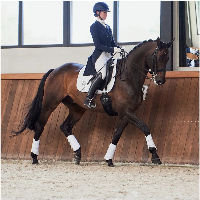 2023 Eskadron Highgloss Peacock Saddle Cloth & Round Bridle Number Holder Bundle PSNH23 - White 7 2023 Eskadron Highgloss Peacock Saddle Cloth & Round Bridle Number Holder Bundle PSNH23 - White - Image 7