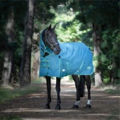 2023 Weatherbeeta Green-Tec 1200D Detach-A-Neck Lite Plus Turnout Rug - Dragonfly Blue / Bottle Green -Weatherbeeta Shop 6379 202320Weatherbeeta20Green Tec201200D20Detach A Neck20Lite20Plus20Turnout20Rug20 20Dragonfly20Blue202.700x700