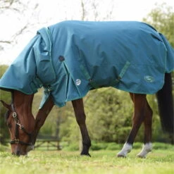 2023 Weatherbeeta Green-Tec 1200D Detach-A-Neck Lite Plus Turnout Rug - Dragonfly Blue / Bottle Green -Weatherbeeta Shop 6379 202320Weatherbeeta20Green Tec201200D20Detach A Neck20Lite20Plus20Turnout20Rug20 20Dragonfly20Blue203.700x700