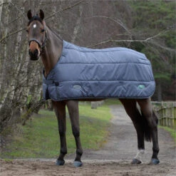 2023 Weatherbeeta Green-Tec Standard Neck Medium / Lite Stable Liner 1021797 - Grey 8 2023 Weatherbeeta Green-Tec Standard Neck Medium / Lite Stable Liner 1021797 - Grey -Weatherbeeta Shop 6381 202320Weatherbeeta20Green Tec20Standard20Neck20Medium2020Lite20Stable20Liner20102179720 20Grey20204.700x700