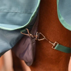 2023 Weatherbeeta Green-Tec Standard Neck Medium / Lite Stable Liner 1021797 - Grey 10 2023 Weatherbeeta Green-Tec Standard Neck Medium / Lite Stable Liner 1021797 - Grey -Weatherbeeta Shop 6381 202320Weatherbeeta20Green Tec20Standard20Neck20Medium2020Lite20Stable20Liner20102179720 20Grey20206.700x700