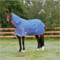 2023 Weatherbeeta Comfitec Plus Dynamic II Detach-A-Neck Medium Turnout Rug 10069170 - Royal Blue / Bright Orange Colour Royal Blue/Bright Orange -Weatherbeeta Shop 6384 202320Weatherbeeta20Comfitec20Plus20Dynamic20II20Detach A Neck20Medium20Turnout20Rug201006917020 20Royal20Blue2020Bright20Orange202.700x700