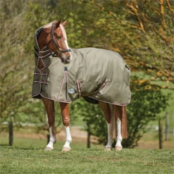 2023 Weatherbeeta Comfitec Essential Combo Neck Medium Turnout Rug 10004151 - Olive Green / Burgundy / White Colour Olive Green / Burgundy / White 5 2023 Weatherbeeta Comfitec Essential Combo Neck Medium Turnout Rug 10004151 - Olive Green / Burgundy / White Colour Olive Green / Burgundy / White -Weatherbeeta Shop 6385 202320Weatherbeeta20Comfitec20Essential20Combo20Neck20Medium20Turnout20Rug201000415120 20Olive20Green2020Burgundy2020White202.700x700