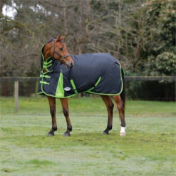 2023 Weatherbeeta Comfitec Classic Combo Neck Medium Turnout Rug 1000423 - Black / Lime Green Colour Black/Lime Green -Weatherbeeta Shop 6387 202320Weatherbeeta20Comfitec20Classic20Combo20Neck20Medium20Turnout20Rug20100042320 20Black20Lime20Green20202.700x700