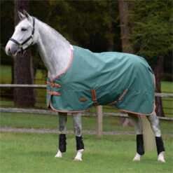2023 Weatherbeeta Comfitec Tyro Combo Neck Medium Turnout Rug 1021798 - Green / Burnt Orange / White -Weatherbeeta Shop 6388 202320Weatherbeeta20Comfitec20Tyro20Combo20Neck20Medium20Turnout20Rug20102179820 20Green2020Burnt20Orange2020White202.700x700