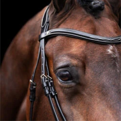 2023 HV Polo Legacy Bridle 1201093500 - Black Colour Black -Weatherbeeta Shop 6920 202320HV20Polo20Legacy20Bridle20120109350020 20Black203.700x700