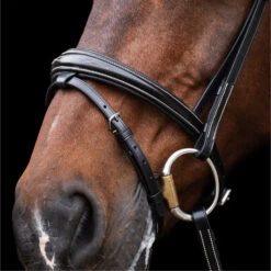 2023 HV Polo Legacy Bridle 1201093500 - Black Colour Black -Weatherbeeta Shop 6920 202320HV20Polo20Legacy20Bridle20120109350020 20Black204.700x700