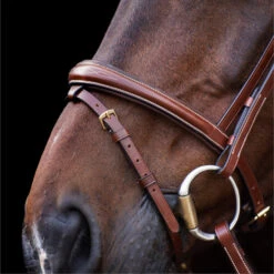 2023 HV Polo Legacy Bridle 1201093500 - Brown Colour Brown -Weatherbeeta Shop 6921 202320HV20Polo20Legacy20Bridle20120109350020 20Brown204.700x700