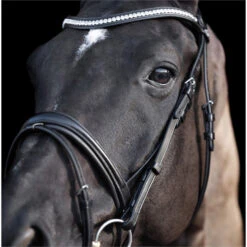 2023 HV Polo Legacy Deluxe Bridle 1201093501 - Black Colour Black 9 2023 HV Polo Legacy Deluxe Bridle 1201093501 - Black Colour Black -Weatherbeeta Shop 6923 202320HV20Polo20Legacy20Deluxe20Bridle20120109350120 20Black204.700x700