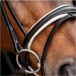 2023 HV Polo Legacy Deluxe Bridle 1201093501 - Black / White Colour Black/White -Weatherbeeta Shop 6924 202320HV20Polo20Legacy20Deluxe20Bridle20120109350120 20Black20White20A3.700x700