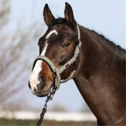 2023 HV Polo Francis Headcollar 1601093450 - Dark Oil Green -Weatherbeeta Shop 6938 202320HV20Polo20Francis20Headcollar20160109345020 20Dark20Oil20Green203.700x700